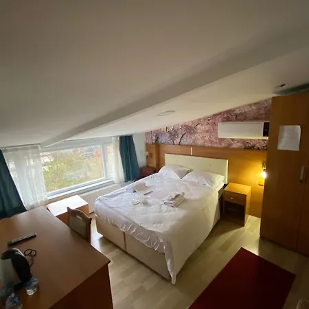 Ihva Pier Loti 호텔 3*